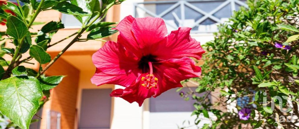 Apartment T2 in Albufeira e Olhos de Água of 117 m²