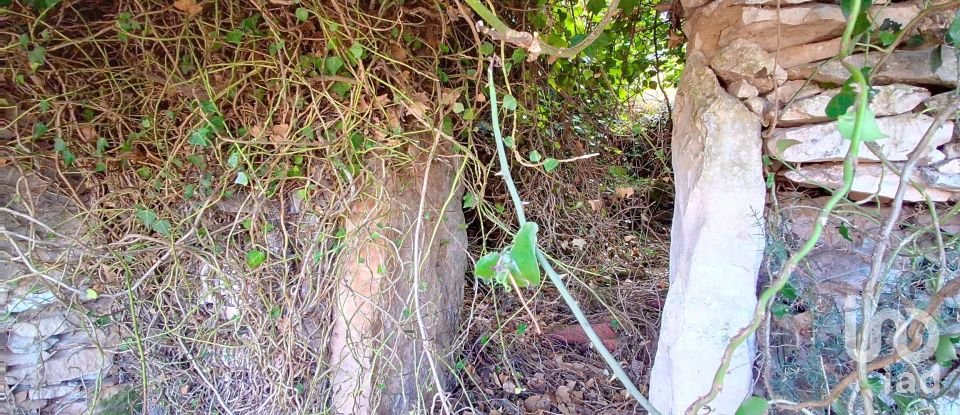 Gîte T2 à Aljubarrota de 64 m²