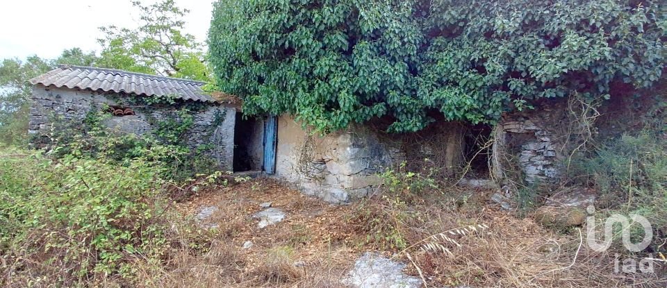 Gîte T2 à Aljubarrota de 64 m²