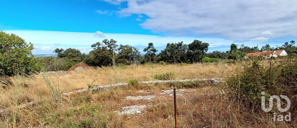 Gîte T2 à Aljubarrota de 64 m²