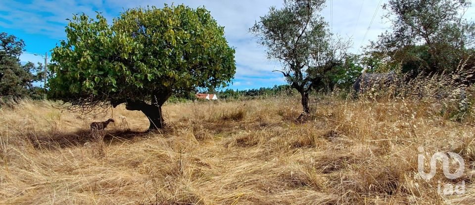 Gîte T2 à Aljubarrota de 64 m²