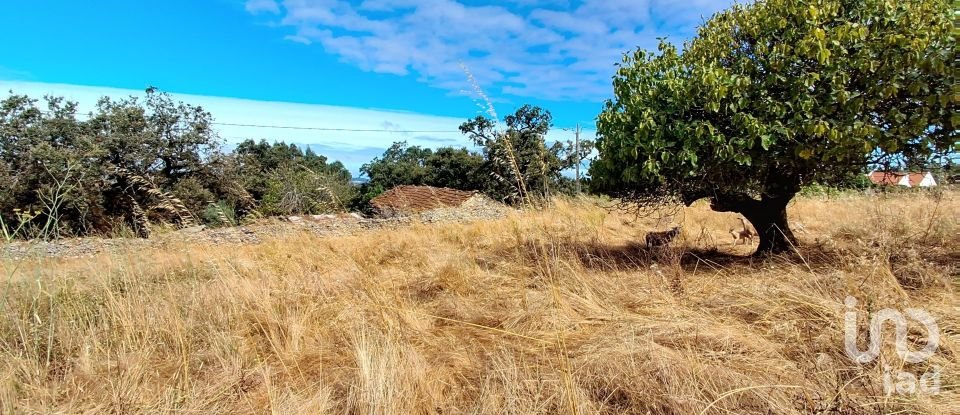 Gîte T2 à Aljubarrota de 64 m²