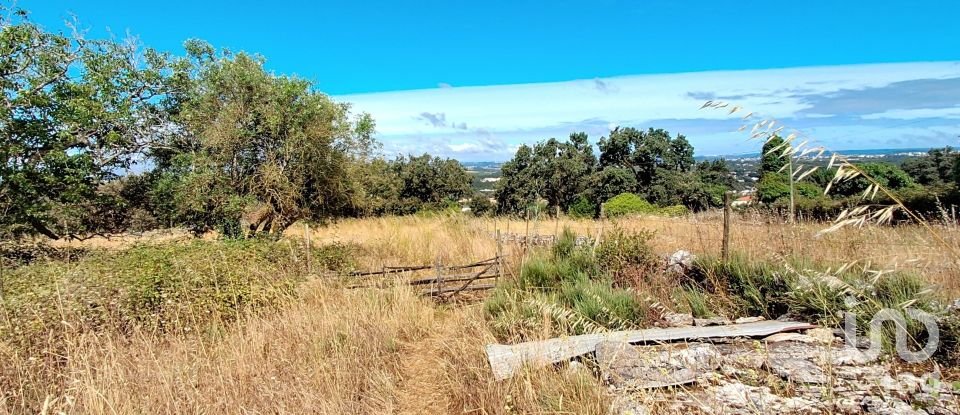 Gîte T2 à Aljubarrota de 64 m²