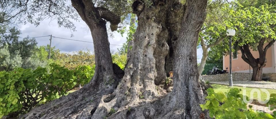 Maison T4 à Santa Bárbara de Nexe de 484 m²