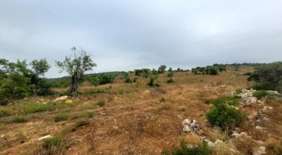 Country home T2 in Paderne of 118 m²