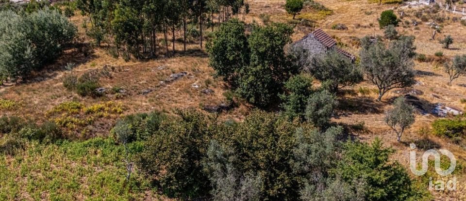 Ferme T4 à Moimenta de Maceira Dão e Lobelhe do Mato de 225 m²