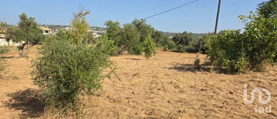 Terreno urbano em Boliqueime de 4 618 m²