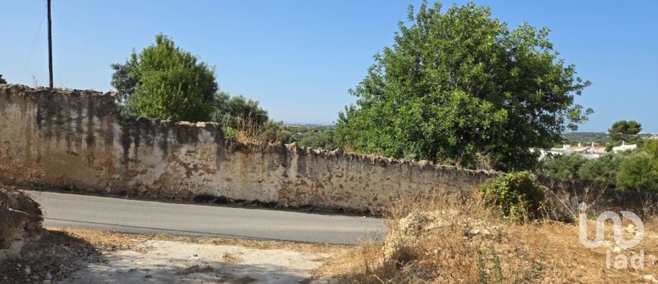 Terreno urbano em Boliqueime de 4 618 m²