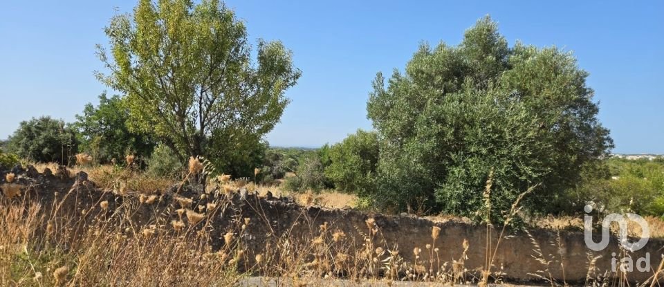 Terreno urbano em Boliqueime de 4 618 m²