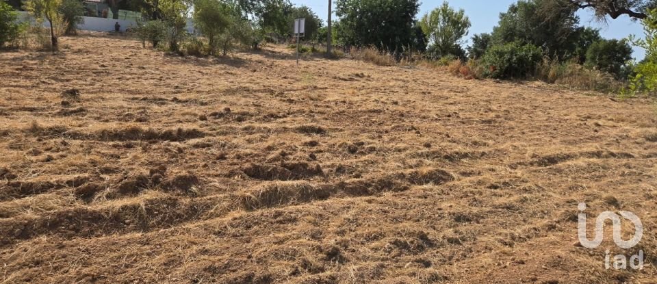 Terreno urbano em Boliqueime de 4 618 m²