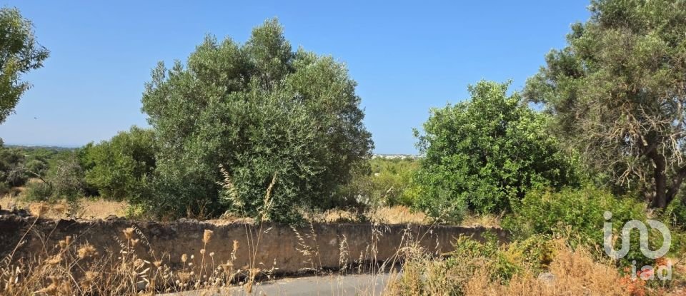 Terreno urbano em Boliqueime de 4 618 m²