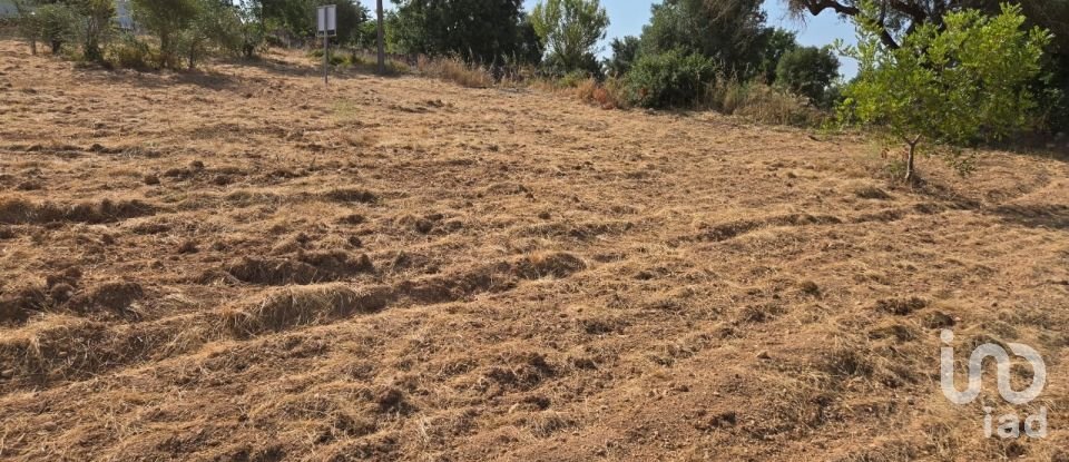 Terreno urbano em Boliqueime de 4 618 m²