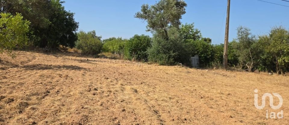 Terreno urbano em Boliqueime de 4 618 m²