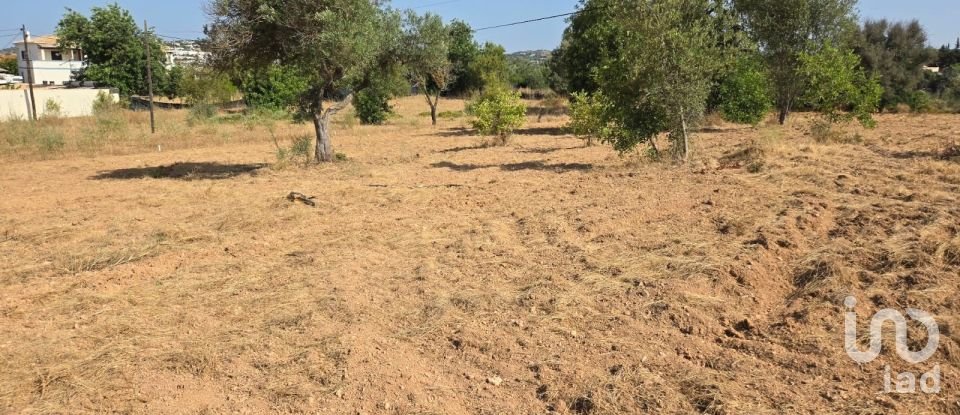 Terreno urbano em Boliqueime de 4 618 m²