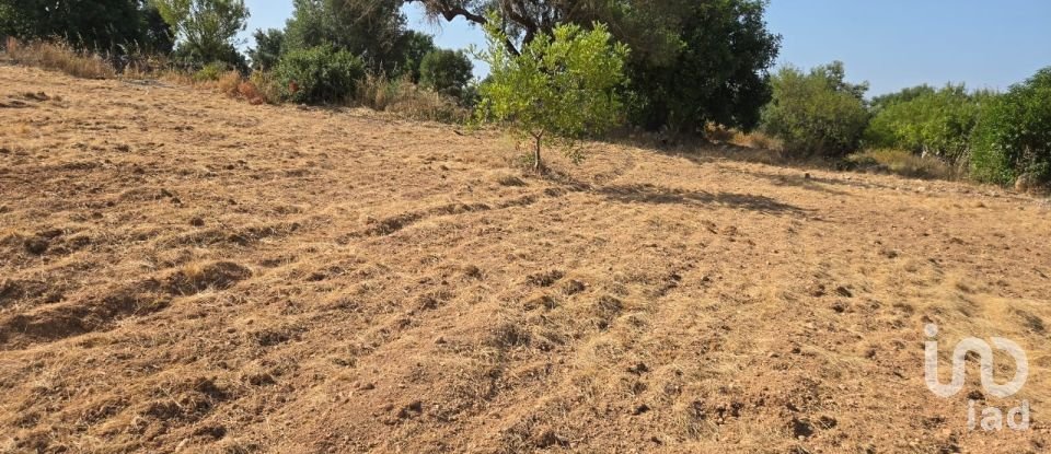 Terreno urbano em Boliqueime de 4 618 m²