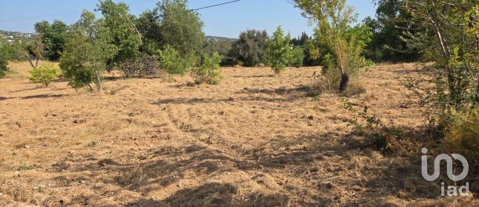 Terreno urbano em Boliqueime de 4 618 m²