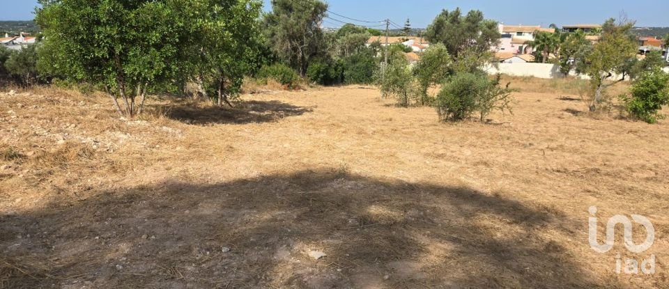 Terreno urbano em Boliqueime de 4 618 m²