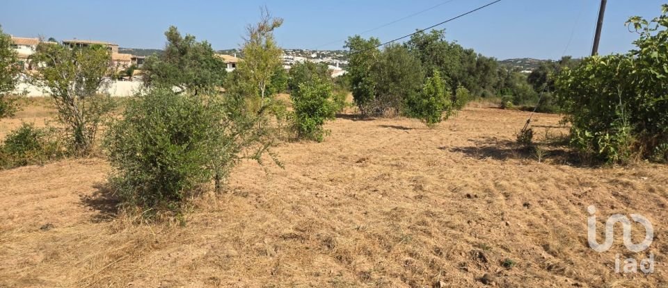 Terreno urbano em Boliqueime de 4 618 m²