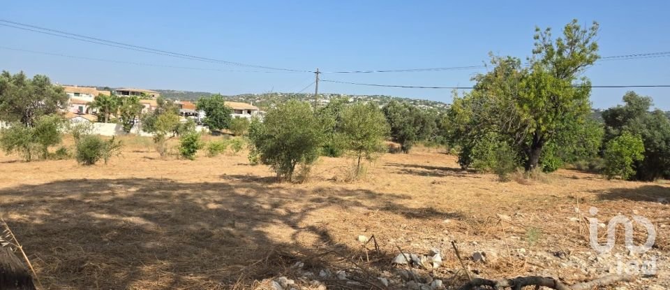 Terreno urbano em Boliqueime de 4 618 m²