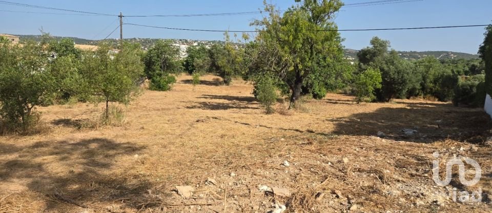 Terreno urbano em Boliqueime de 4 618 m²