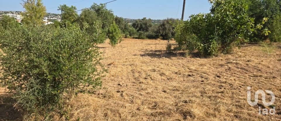 Terreno urbano em Boliqueime de 4 618 m²