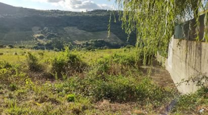 Terrain à Arranhó de