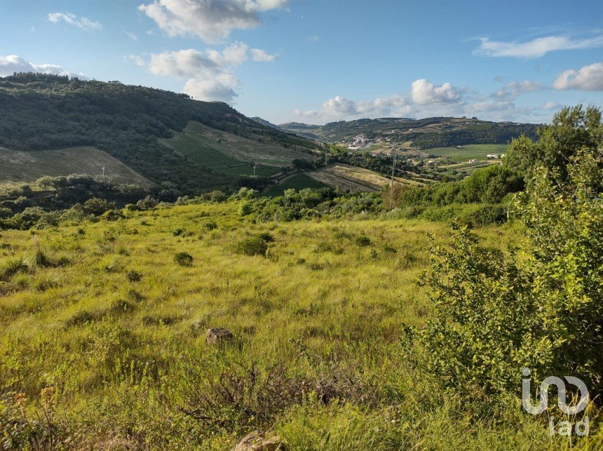 Terreno em Arranhó de