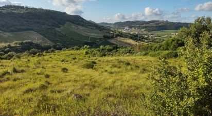 Terrain à Arranhó de