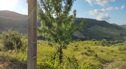 Terrain à Arranhó de