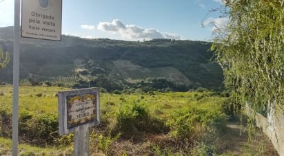 Terrain à Arranhó de