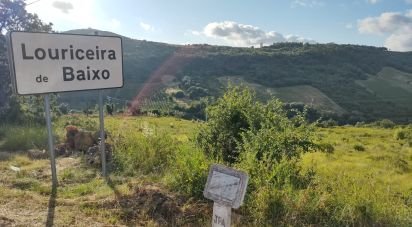 Terrain à Arranhó de