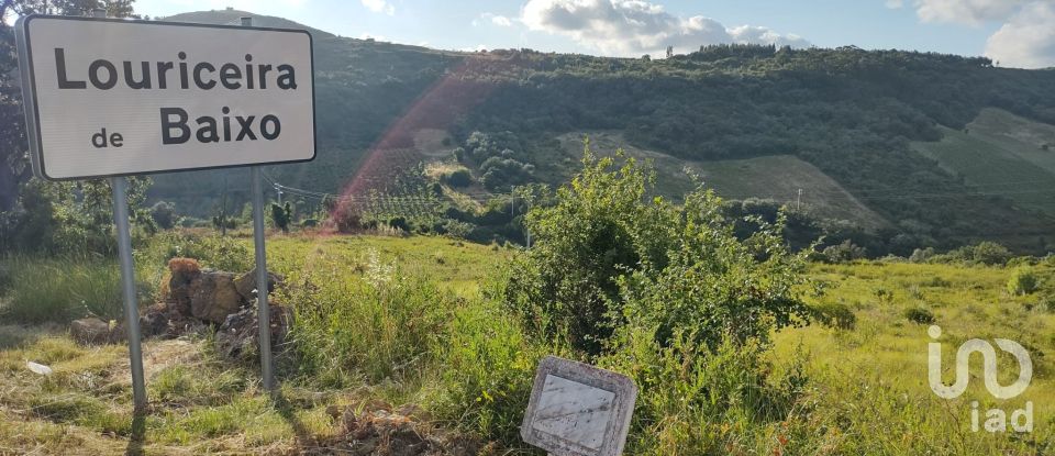 Terreno em Arranhó de