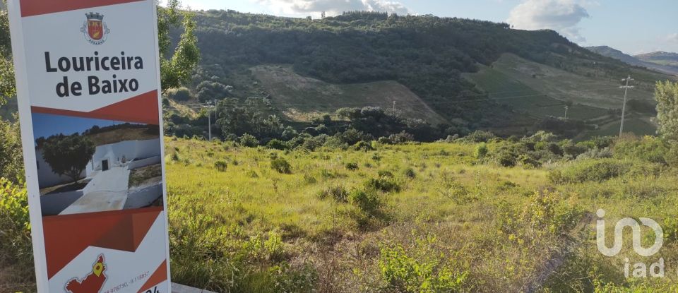 Terreno em Arranhó de