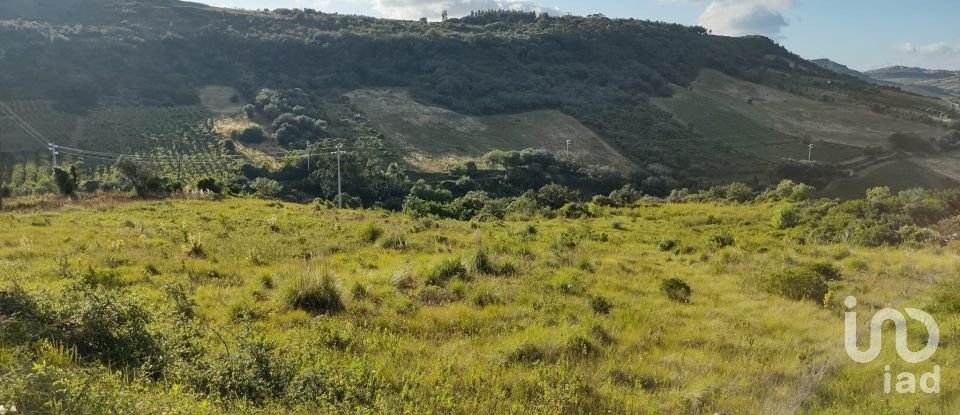 Terreno em Arranhó de