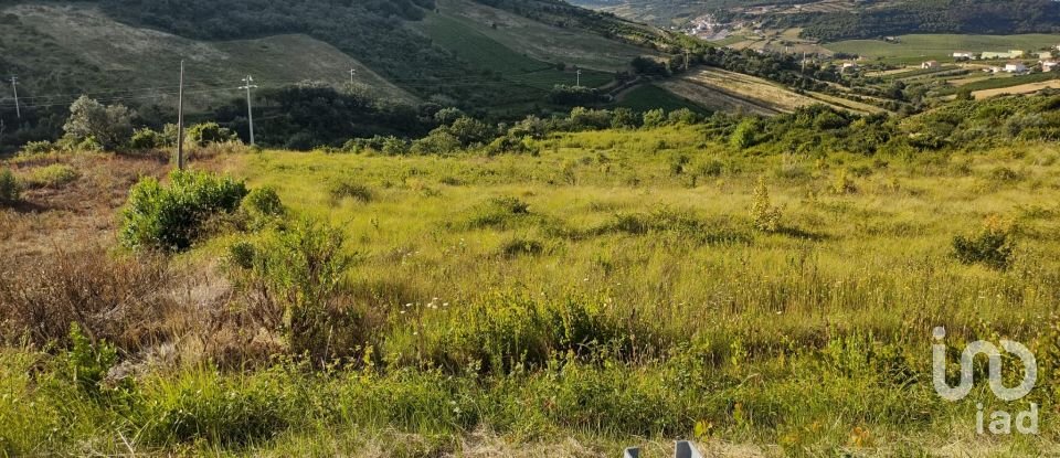 Terreno em Arranhó de