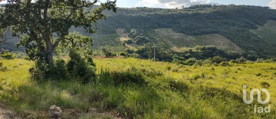 Terreno em Arranhó de