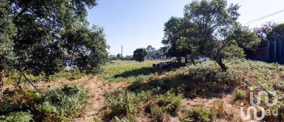 Terreno em Fiães de 9 612 m²