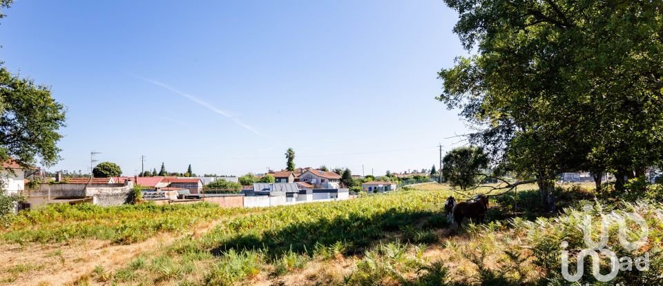 Terreno em Fiães de 9 612 m²