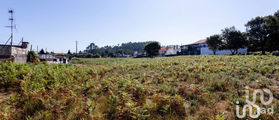 Terreno em Fiães de 9 612 m²