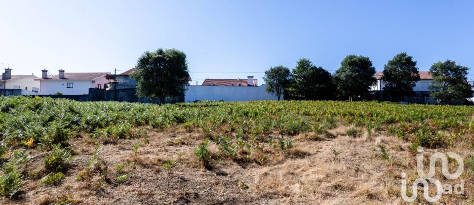 Terreno em Fiães de 9 612 m²