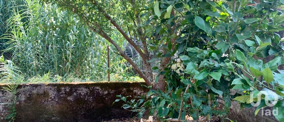 House T2 in Seixas of 76 m²