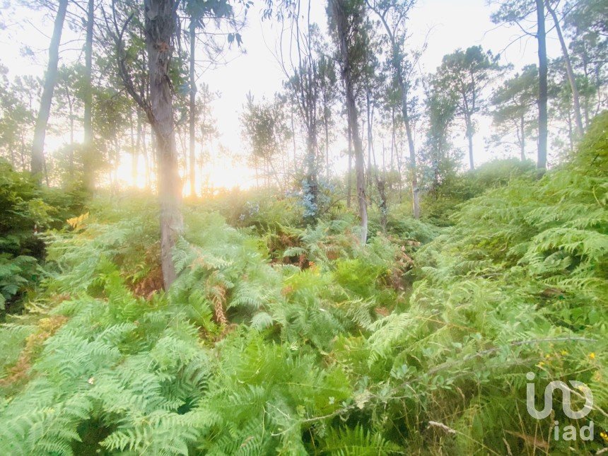 Land in Sapardos of 612 m²