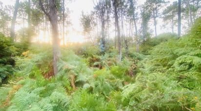 Land in Sapardos of 612 m²