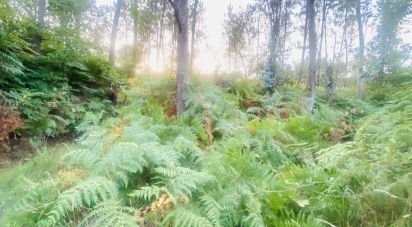 Land in Sapardos of 612 m²