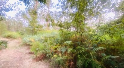 Land in Sapardos of 612 m²