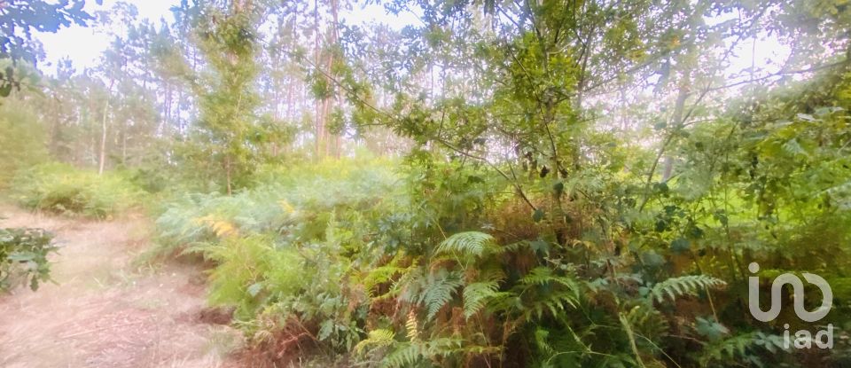 Land in Sapardos of 612 m²