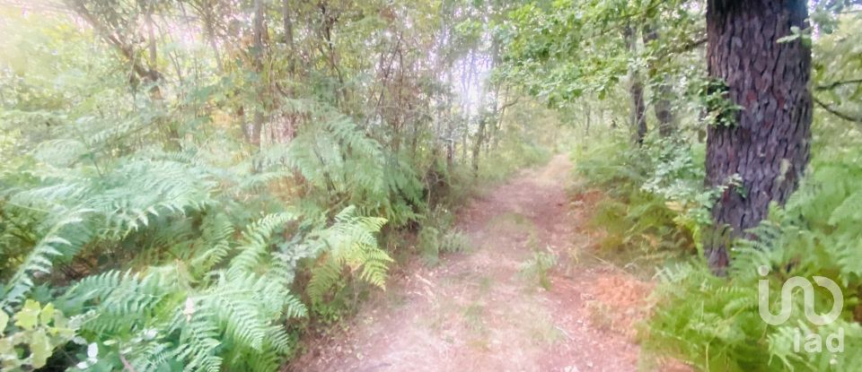 Land in Sapardos of 612 m²