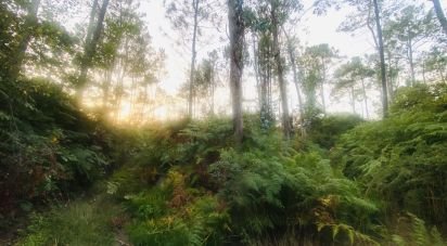 Land in Sapardos of 612 m²