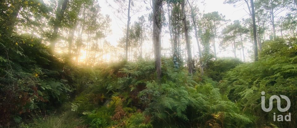 Land in Sapardos of 612 m²