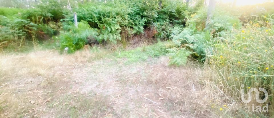 Land in Sapardos of 612 m²